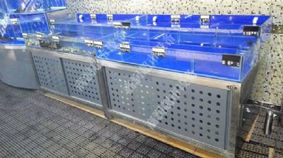 冰鮮魚池系列